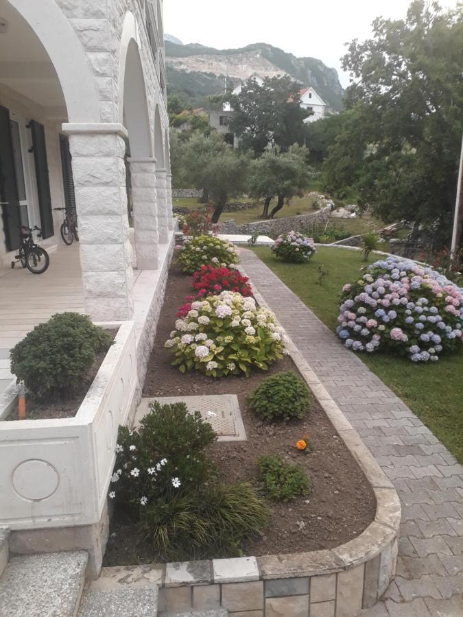 Apartmani Andrea Herceg Novi Exterior foto